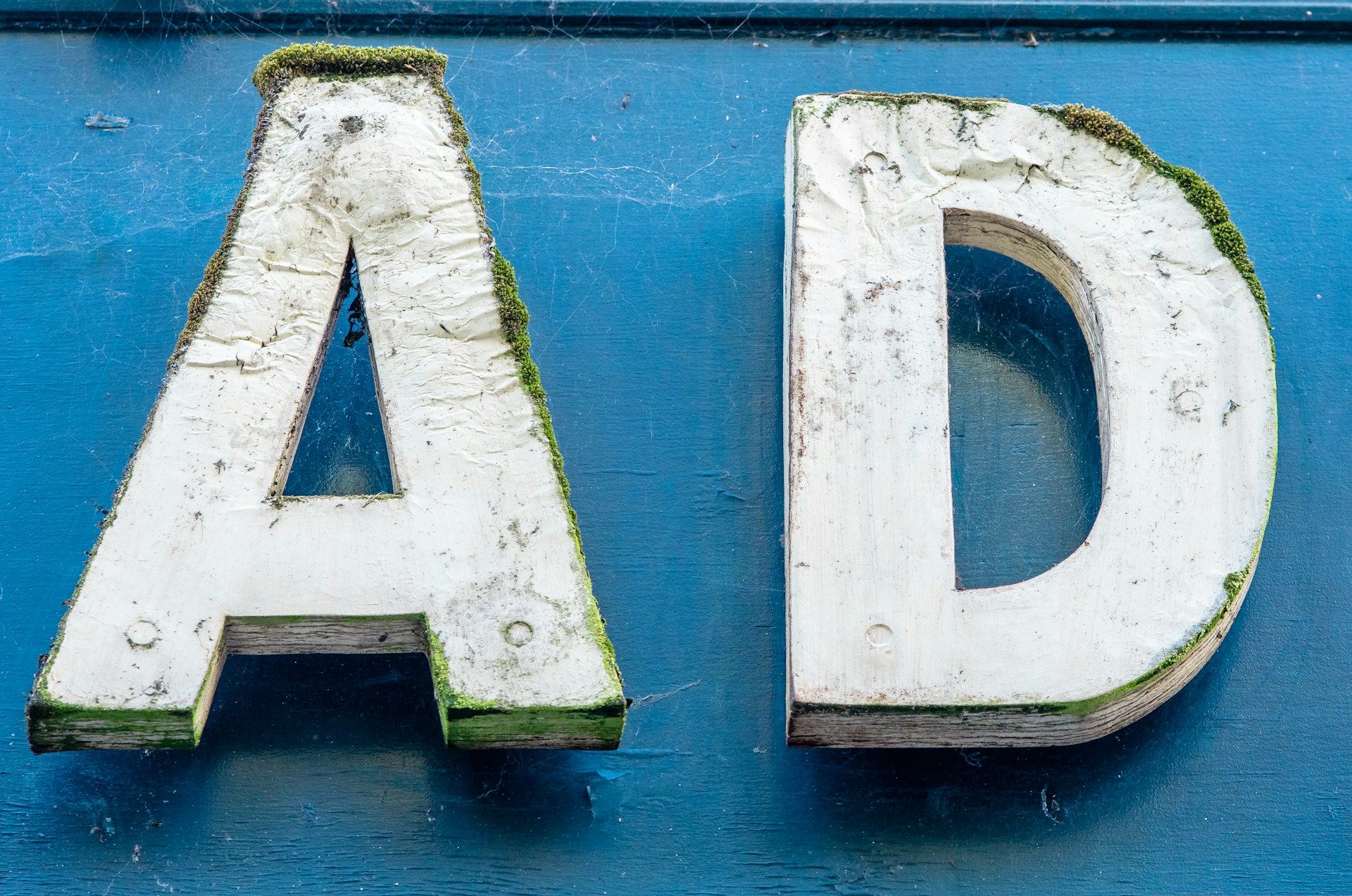 advertising fraud